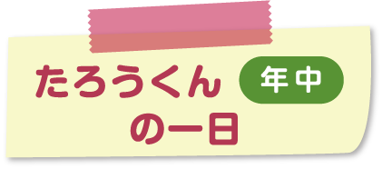 たろうくんの一日